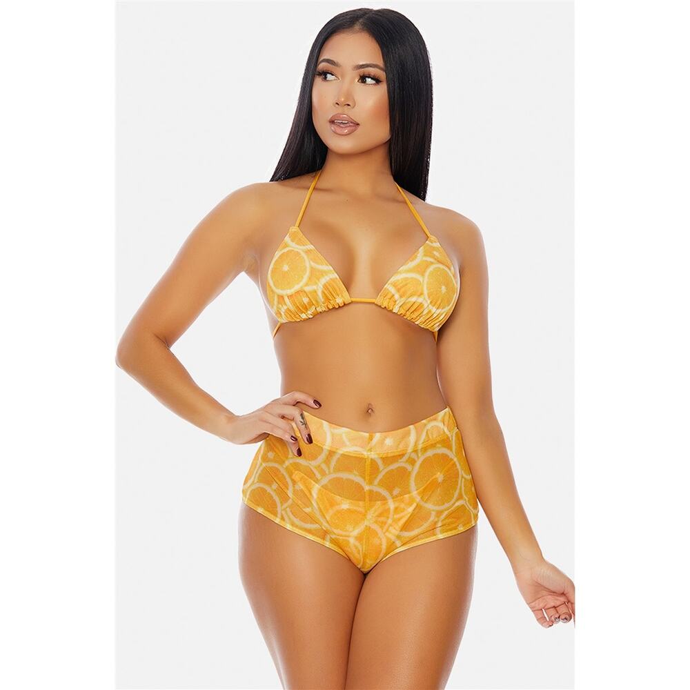Large High Waist Mesh Swimwear Bottom Shorts